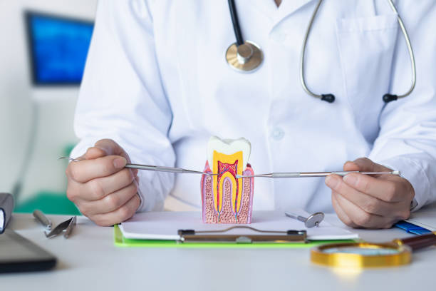 Best Emergency Orthodontic Repairs in Tuckahoe, VA